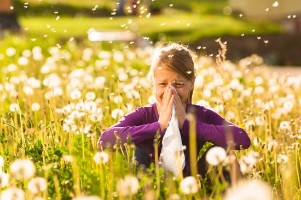 Alergia estacional y alimentación