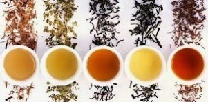 infusiones1