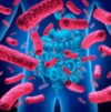 microbiota