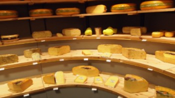 Propiedades nutricionales del queso