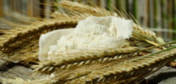 Diferencias alimento integral