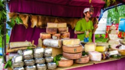 Tipos de queso