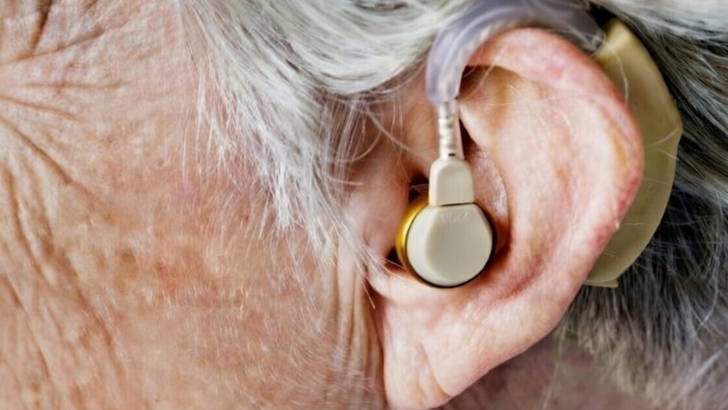 Audifono