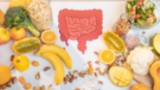 microbiota