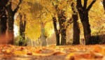 Otoño