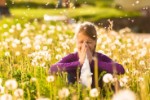 Alergia estacional y alimentación