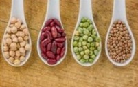proteina vegetal