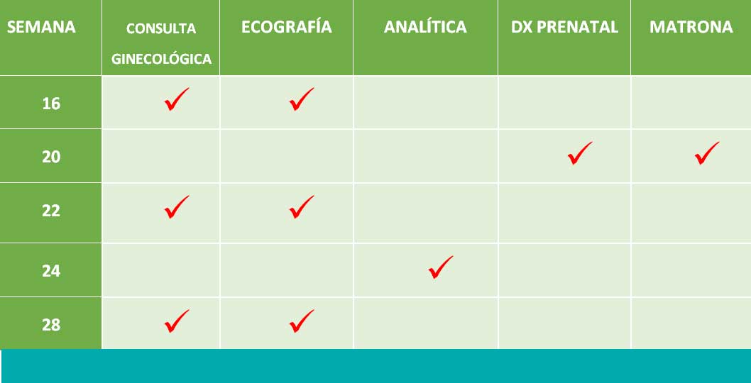 calendario-segundo-trimestre-de-embarazo
