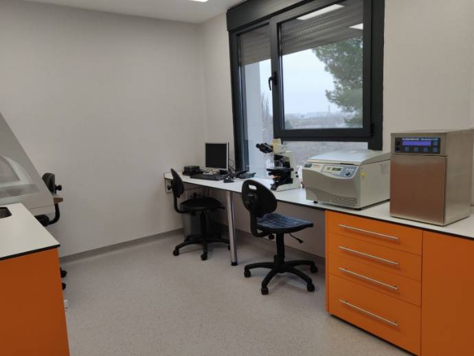 Laboratorio FIV 2