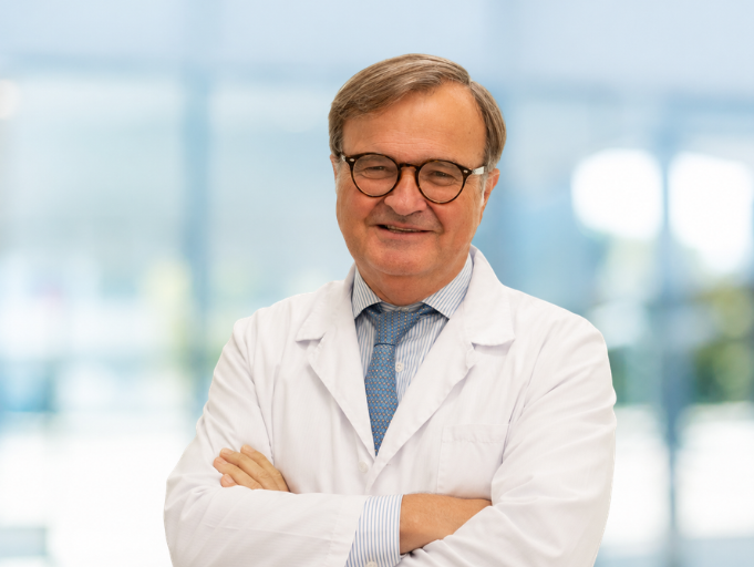 Bruno Ardanza png