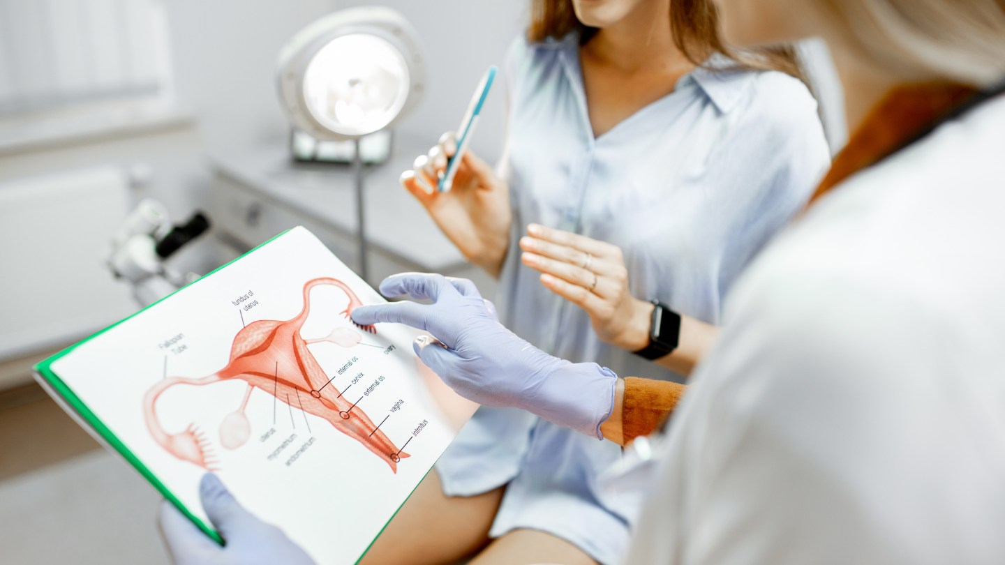 ginecologia y obstetricia