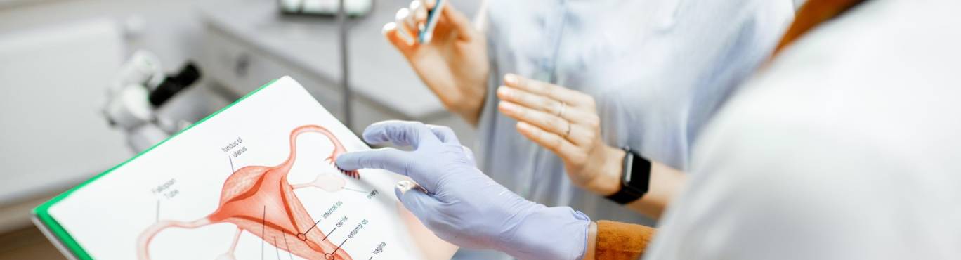 ginecologia y obstetricia