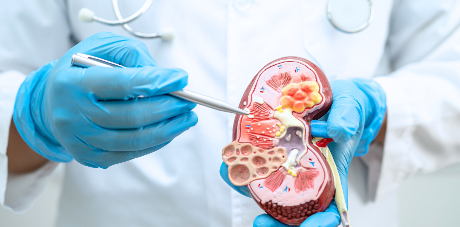 Servicio de Nefrología