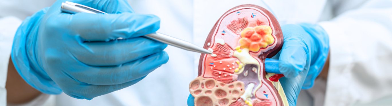 Servicio de Nefrología