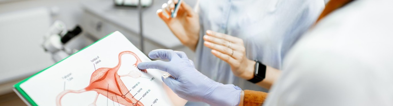 ginecologia y obstetricia