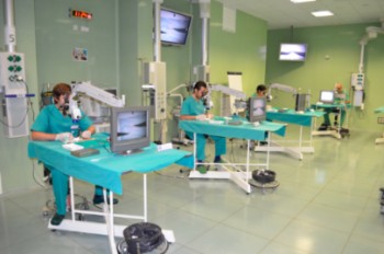 Curso colgajos experimentales en microcirugia