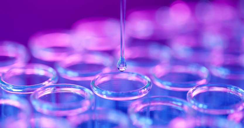 Memoria de investigación 2022