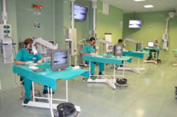 Curso colgajos experimentales en microcirugia