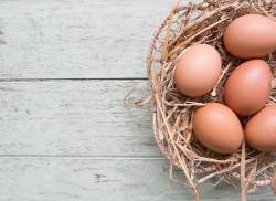 Falsos mitos en alimentación