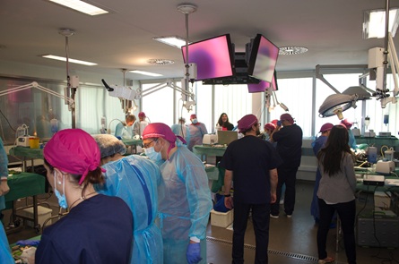 Curso "Técnicas complejas en implantología: manejo de tejidos blandos e injertos óseos"