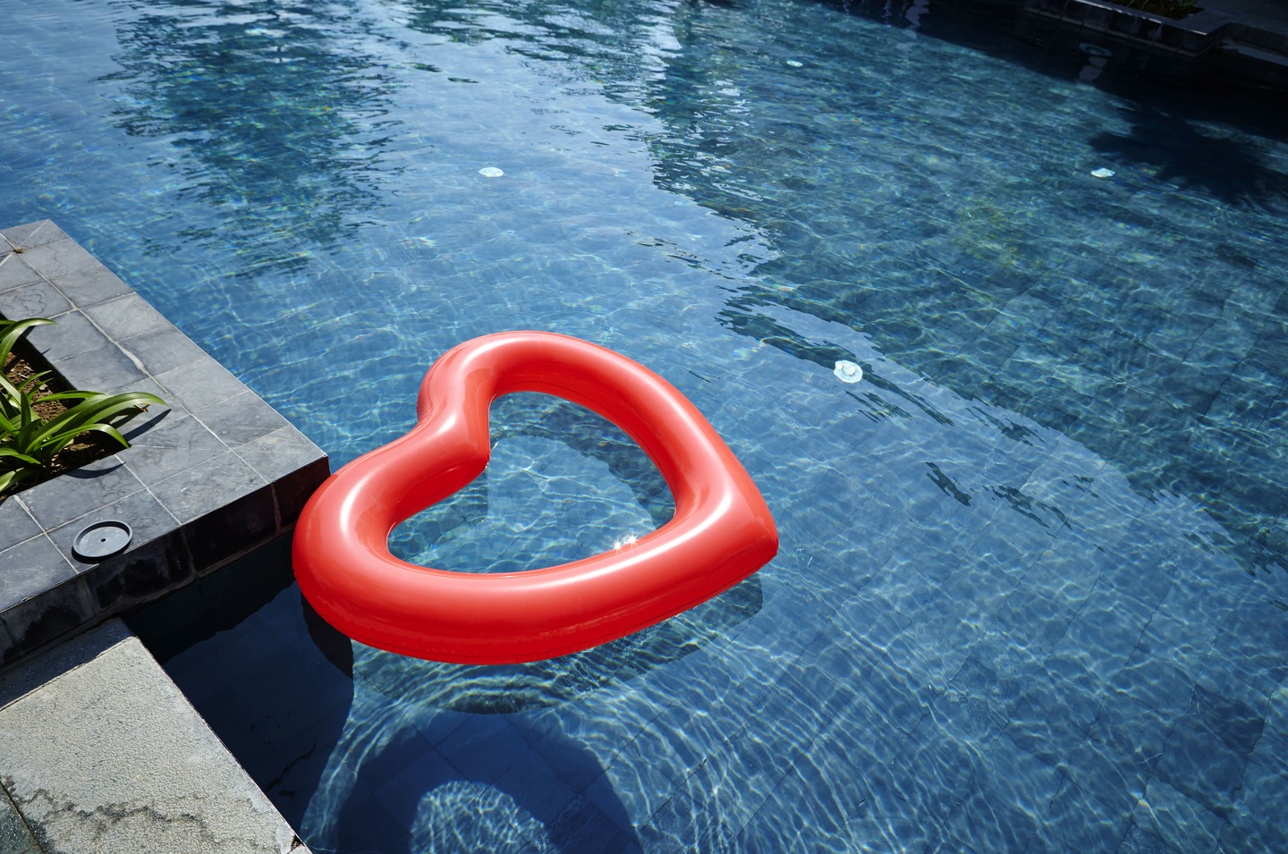 Salud corazon verano web
