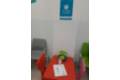 Pon tu huella por el planeta Quirónsalud Toledo_Sala Pediatria