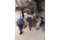 nueva resonancia Hospital Quirónsalud Toledo_4