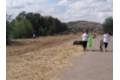 recogiendo residuos de la naturaleza equipo quironsalud toledo