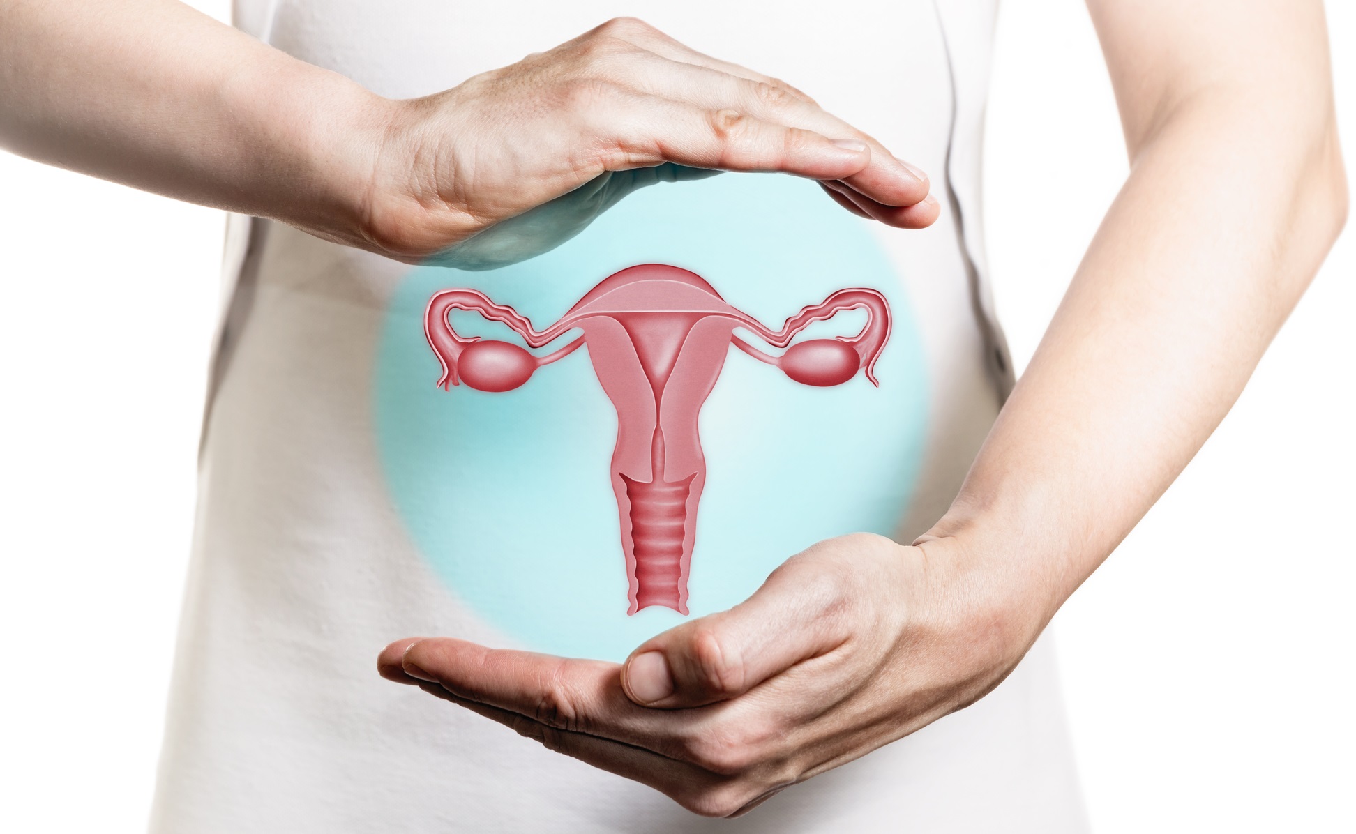 Miomectomía miomatosis uterina miomas quironsalud Torrevieja
