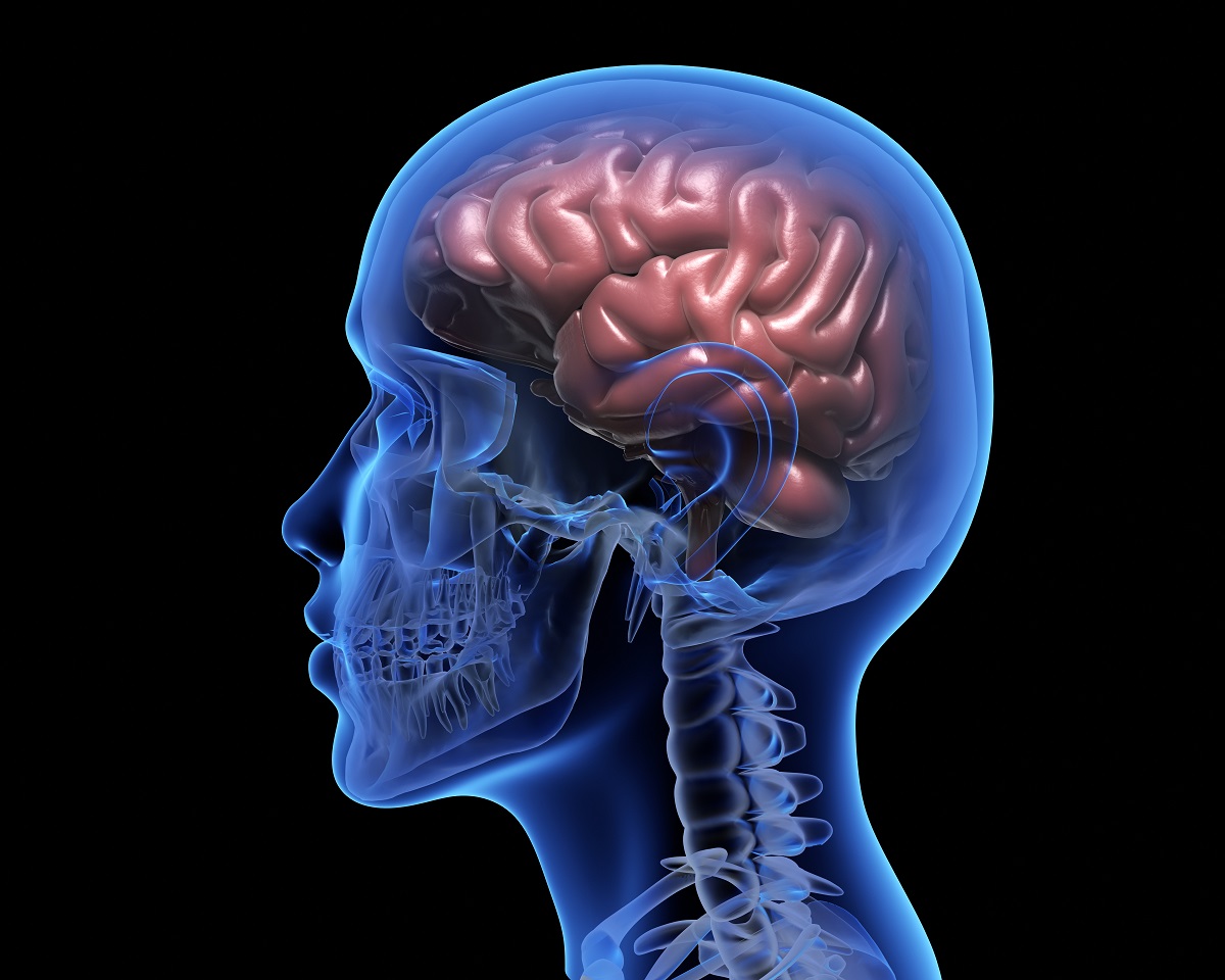 enfermedades neurologicas torrevieja quironsalud