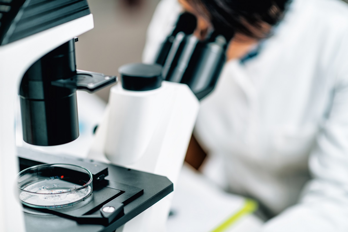 Inmunoterapia vacuna contra cancer quironsalud torrevieja