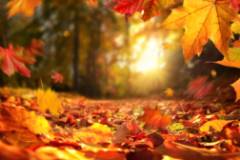 otoño