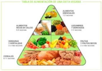 Dieta vegetariana vs dieta vegana