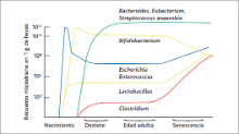 Microbiota a lo largo de la vida