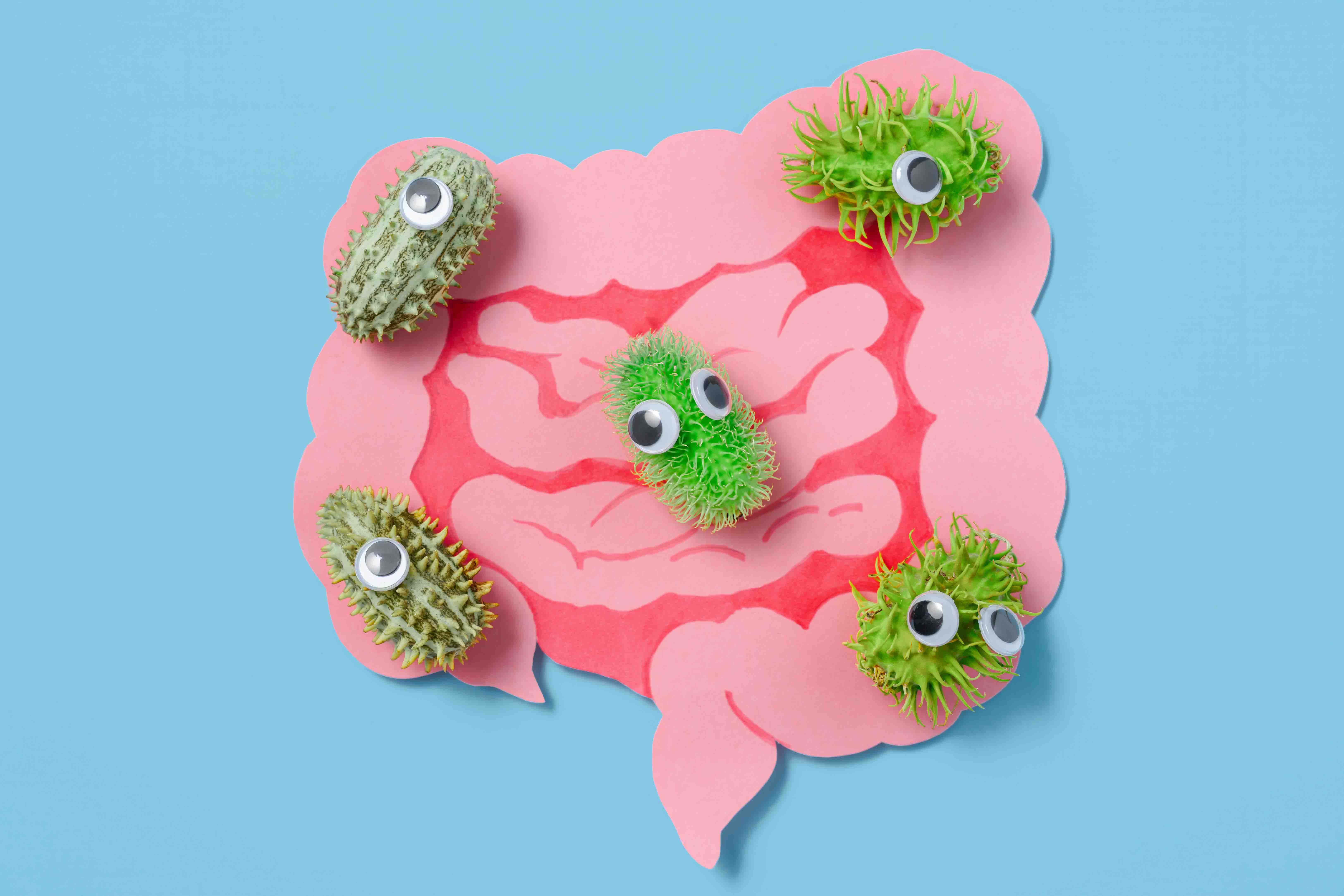 Microbiota