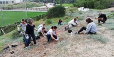Reforestación de las dunas