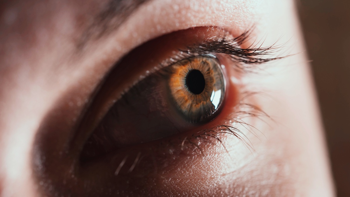 unidad de cornea quironsalud valencia
