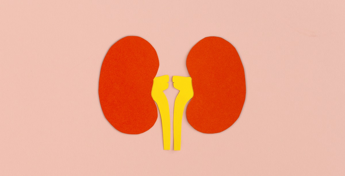 cancer de vegija valencia quironsalud