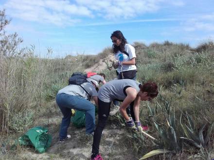 Trabajadores de Quirónsalud realizando las tareas de voluntariado