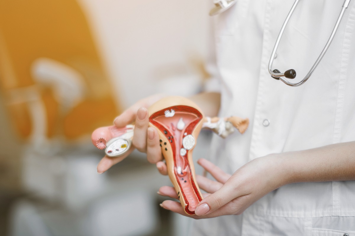 malformaciones uterinas tipos
