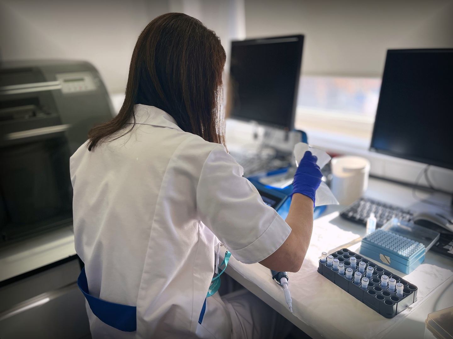 Investigación
