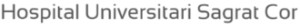 logoHUSChor-01