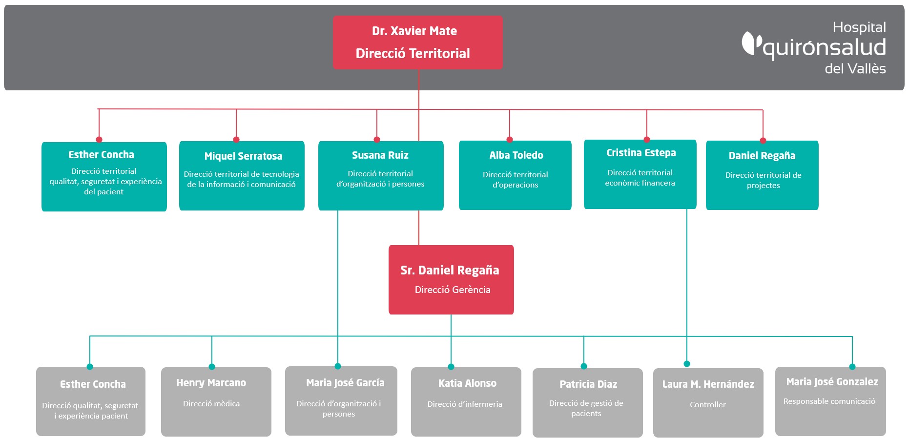 organigrama quironsalud valles cat