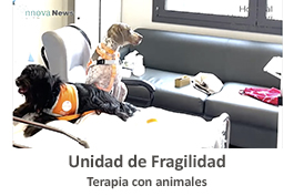 fragilidad. Este enlace se abrirá en una ventana nueva