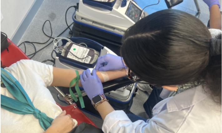 Captura de pantalla 2026-03-20 125043