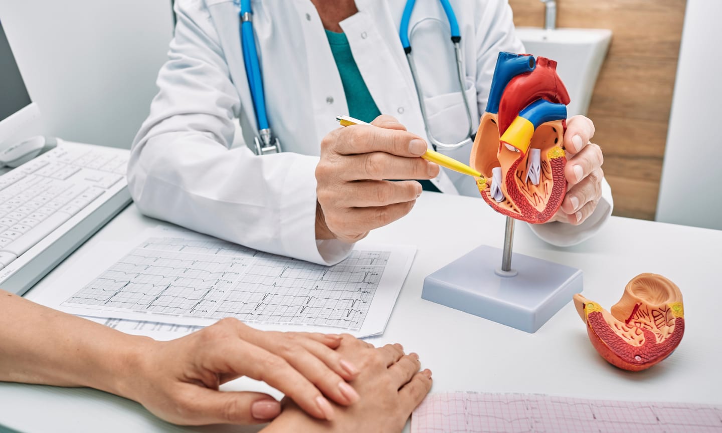 Salud cardiovascular