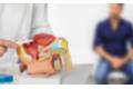 Img_Cancer_Prostata